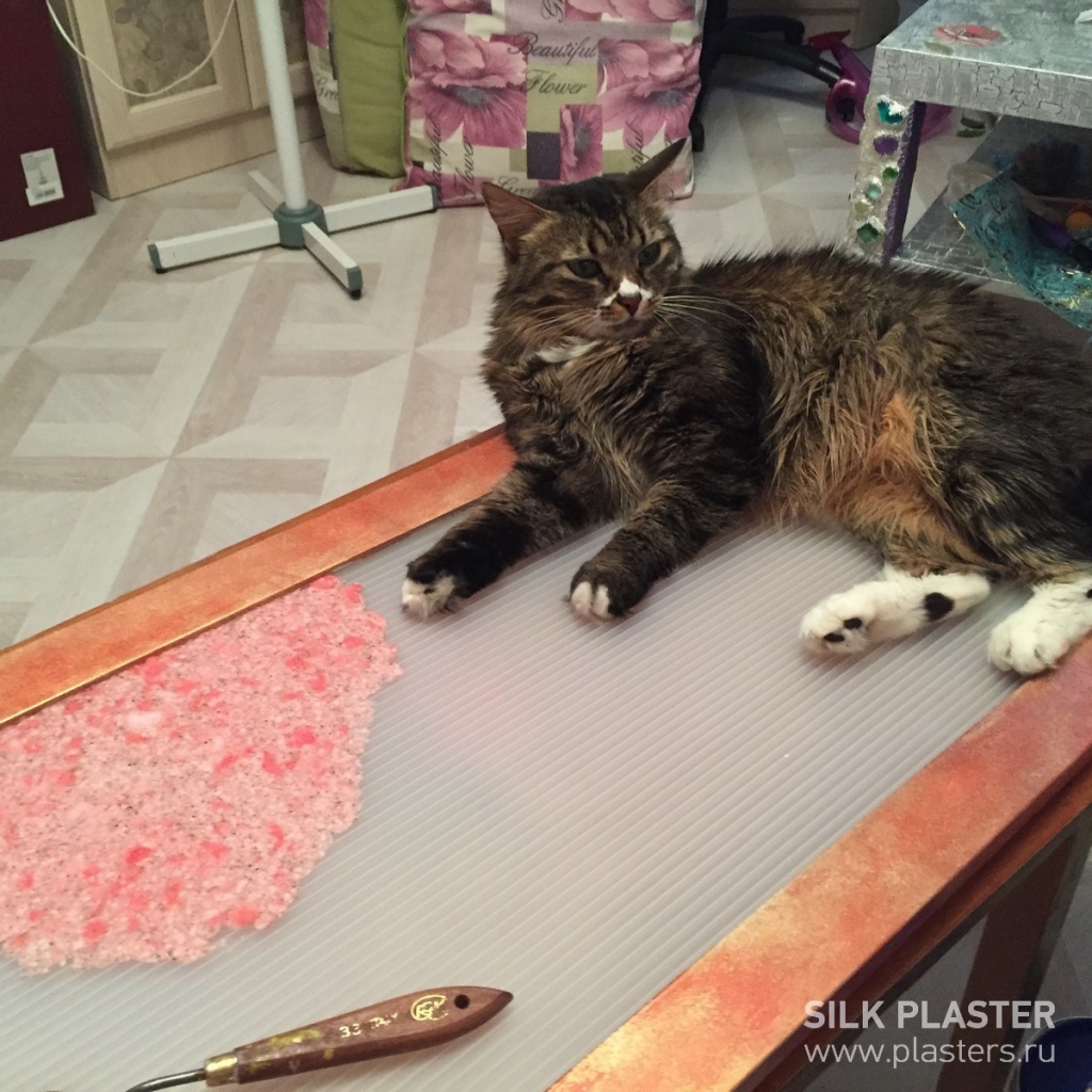 Promo_SILK_ PLASTER_2015_ 14.jpg Promo_SILK_ PLASTER_2015_ 14.jpg